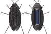 Solar Energy Powered Crazy Cockroach Roach Novel Toy Gadget